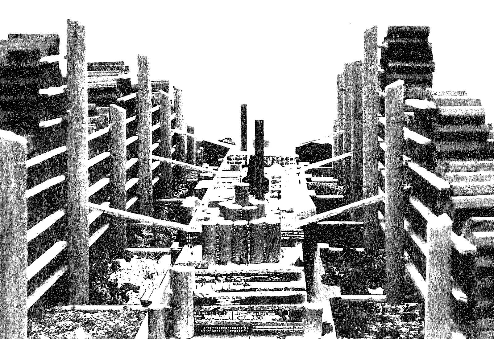 Hexagonal Residential Modules–Herbert Prader and Franz Fehringer–1969